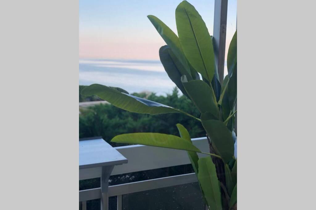 Charmant Studio Avec Terrasse Vue Mer A 50 M แซ็งต์-แมกซีม ภายนอก รูปภาพ